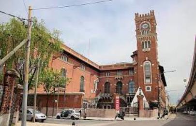 Convocatoria Usina Ilumina