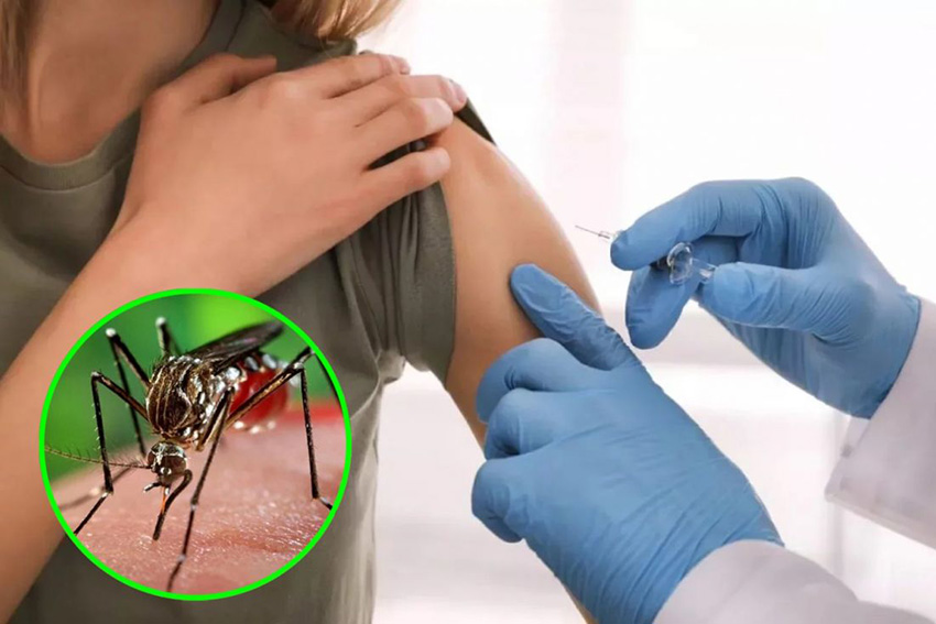 La ANMAT autorizó la vacuna contra el dengue desarrollada en Japón