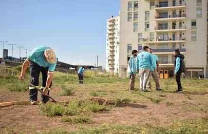 Plantación de árboles en el complejo Estación Sáenz del barrio de Pompeya