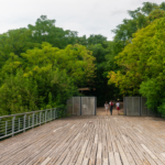 Denuncian la construcción de locales gastronómicos en la Reserva Ecológica Costanera Norte