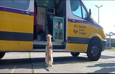 Campañas de vacunación antirrábica y castración para el mes de junio