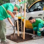 Comenzó la primera etapa de plantación de otoño en la Comuna 7