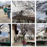 Despeje de luminarias en la Comuna 8