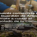 ¿Queres convertirte en guardián de árbol?