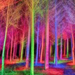 Actividades culturales del Gobierno porteño para este fin de semana