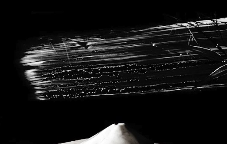 El Museo Nacional de Arte Oriental presenta Dō, el perpetuo andar