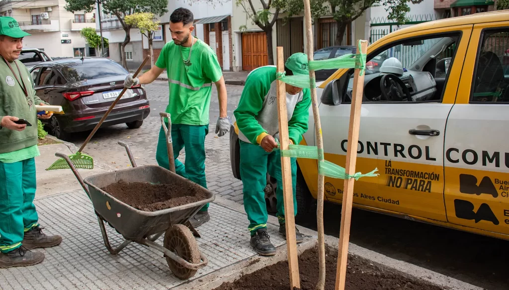 Se plantarán mil árboles en la Comuna 11