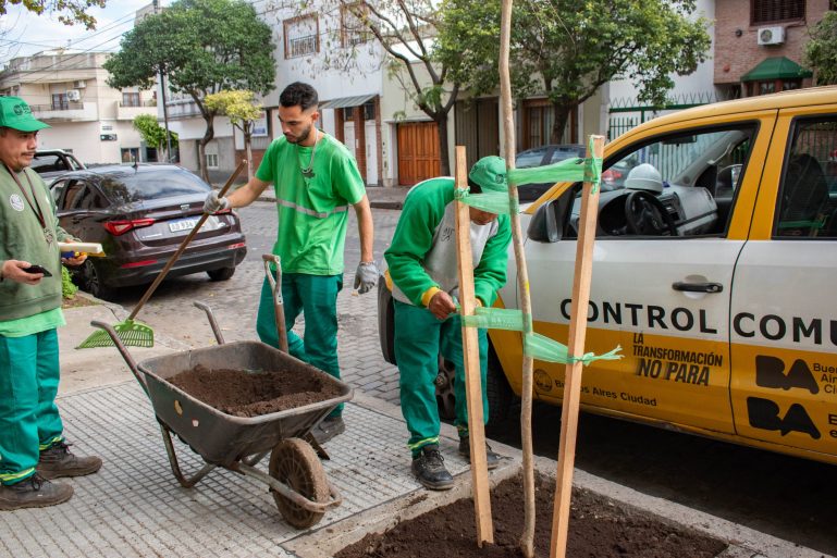 Por el Día Mundial del Medio Ambiente la Ciudad plantará más de 22 mil árboles