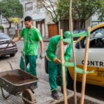 El GCBA anunció la plantación de unos 22.000 árboles