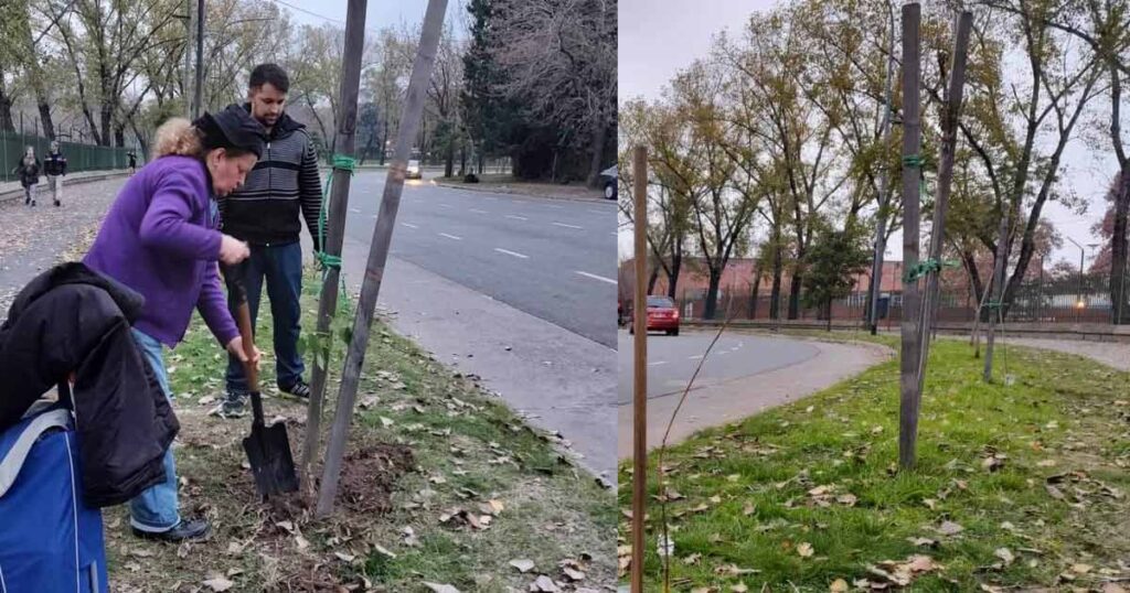 Comuna 12: La agrupación Vecinos por la Ecología realizó una plantación de árboles nativos