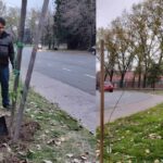 Comuna 12: La agrupación Vecinos por la Ecología realizó una plantación de árboles nativos