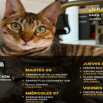 Jornada de castración en Soldati y otros barrios
