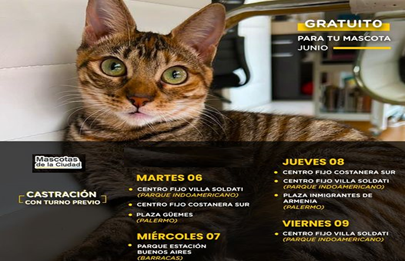 Jornada de castración en Soldati y otros barrios