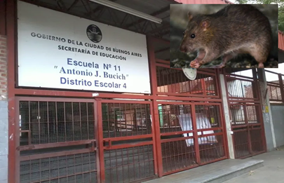 Abrazo solidario a escuela de La Boca