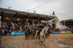  Está en marcha la 135° Exposición Rural