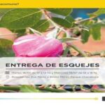 El Rosedal en tu casa en Parque Chacabuco