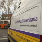 Atención veterinaria en Villa Soldati y otros barrios porteños