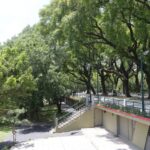 La feria sustentable de la Ciudad ReserBA Abierta se realizara el próximo fin de semana