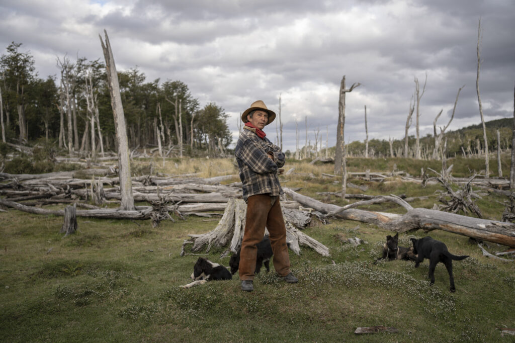 Llega la 4ta. Semana de Cine Latinoamericano al Cultural San Martín