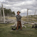 Llega la 4ta. Semana de Cine Latinoamericano al Cultural San Martín