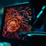 La UBA crea el primer catálogo de imágenes microscópicas junto a universidades de la región