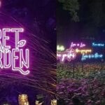 Repudio por la muestra inmersiva “Secret Garden”
