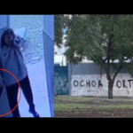 Intento de homicidio contra el titular del sindicato de la carne en Mataderos