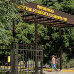 ReserBA Abierta: feria sustentable en la Reserva Ecológica