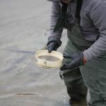 Nuevo monitoreo de bioindicadores en la Cuenca Matanza Riachuelo