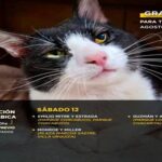 Vacunación antirrábica gratuita en Parque Chacabuco