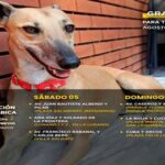 Jornadas de vacunación antirrábica