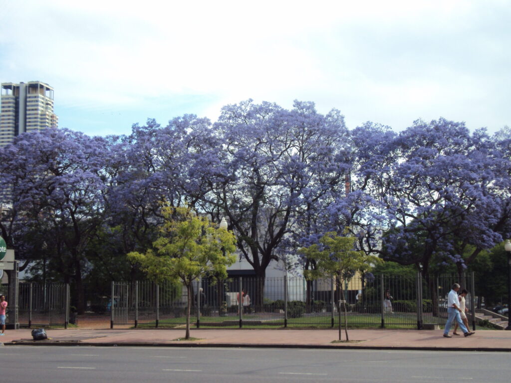 Se celebra el Día del Árbol en la Ciudad