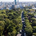 Dia del Árbol en la Ciudad