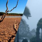 Alerta de la OMS por la reaparición de El Niño que afectará más intensamente a 25 países