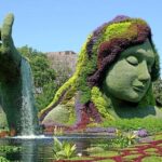 Agosto el mes de Mamapacha