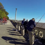 Panorama Legislativo: la Justicia pide el Código Ambiental