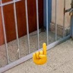 Piden informes por la presencia de ratas en Balvanera y San Cristóbal