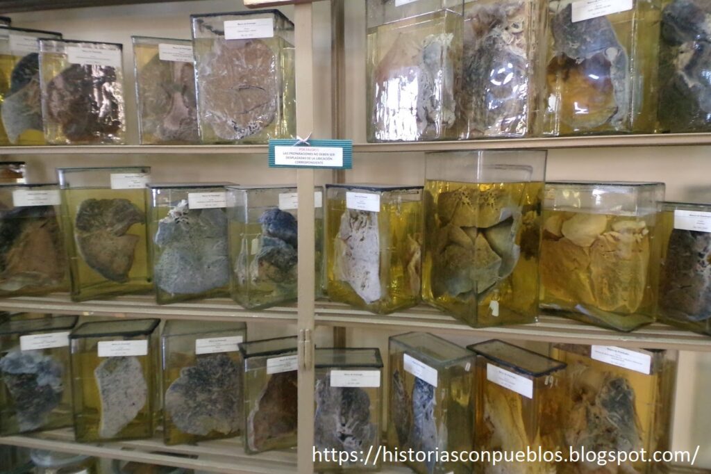 Piden declarar de Interés Cultural a las actividades del Museo de Patología de la UBA