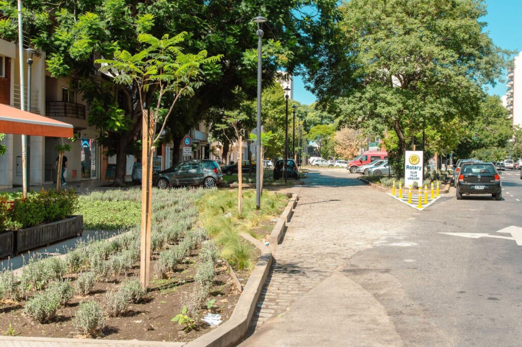 El GCBA celebra el Día del árbol con plantaciones y actividades ambientales