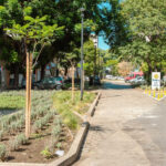 El GCBA celebra el Día del árbol con plantaciones y actividades ambientales