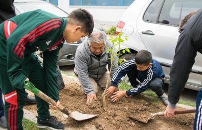 Plantación árboles en la Comuna 7