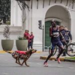 Enojo en Kenia con la Maratón de Buenos Aires: un perro atacó a un atleta que iba primero y lo hizo finalizar tercero