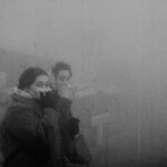 Festival Internacional de Cine Documental Buenos Aires #11