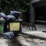 La izquierda denunció un “negociado con la basura” y apuntó a Clara Muzzio