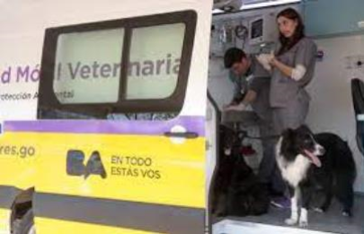 Atención veterinaria gratis en Villa Lugano