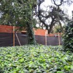 Jardín Botánico de Palermo: detuvieron las obras en los baños y abren un Centro de Interpretación