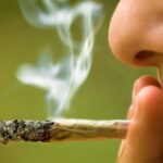 Adolescencia: los efectos del alcohol y el cannabis en el cerebro en desarrollo
