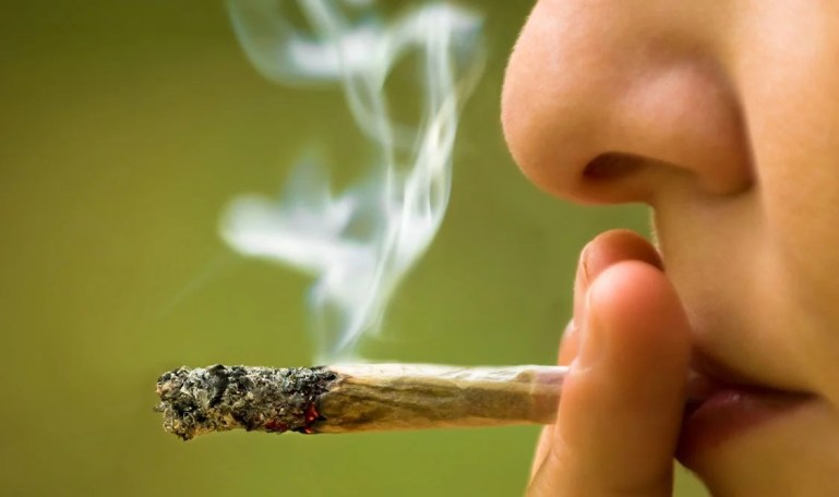 Adolescencia: los efectos del alcohol y el cannabis en el cerebro en desarrollo
