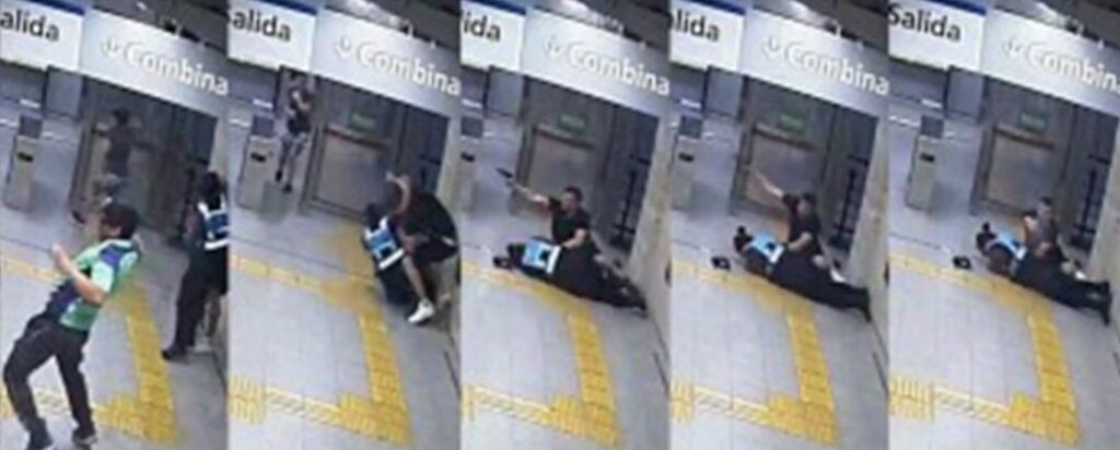 Retiro: declararon inimputable al hombre que le quitó el arma y mató a una mujer policía en el subte