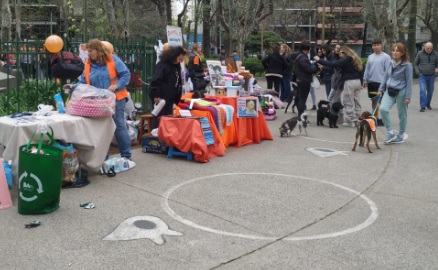 Cumbre mascotera en Plaza Almagro para celebrar “La primavera animal”